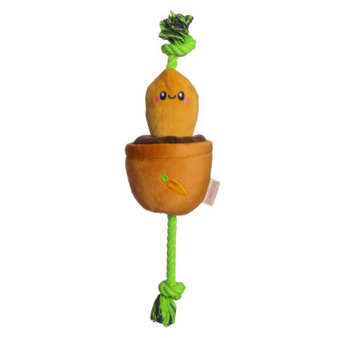 Territory Vegetable Treat and Tug Toy