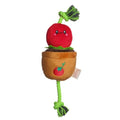 Territory Tomato Treat and Dog Toy