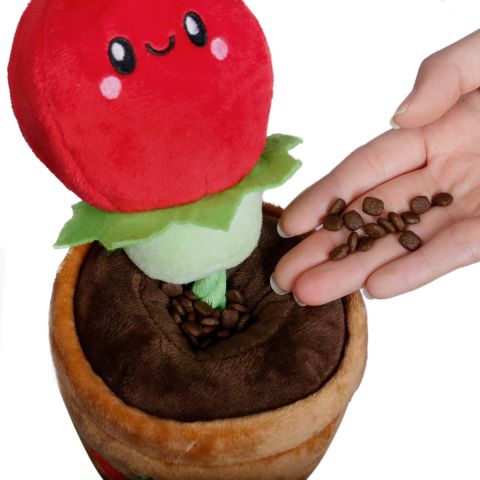 Territory Tomato Treat and Dog Toy